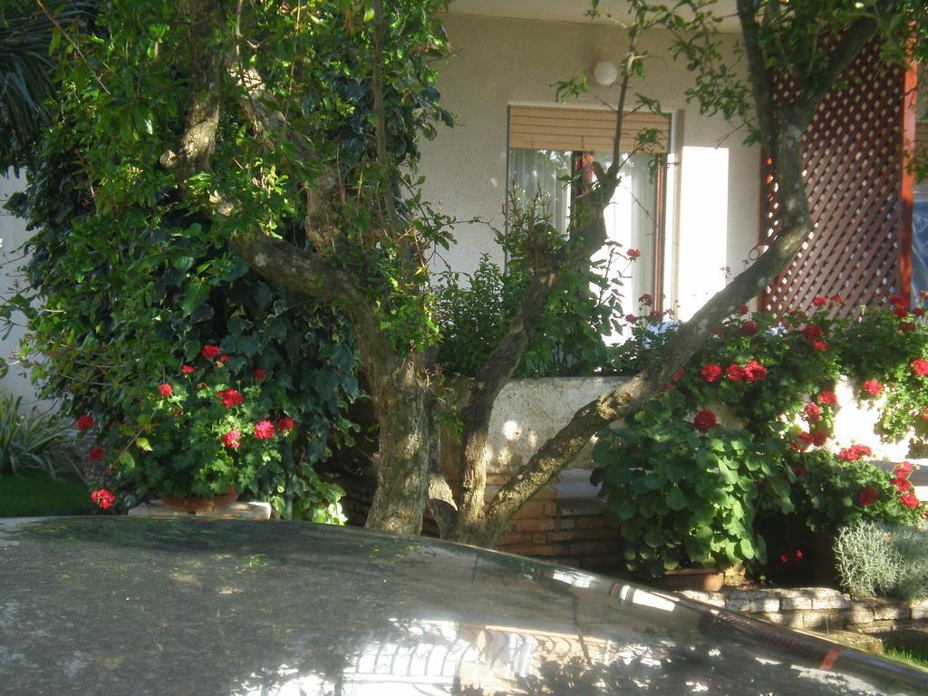 Apartment Ms Pula Exterior foto
